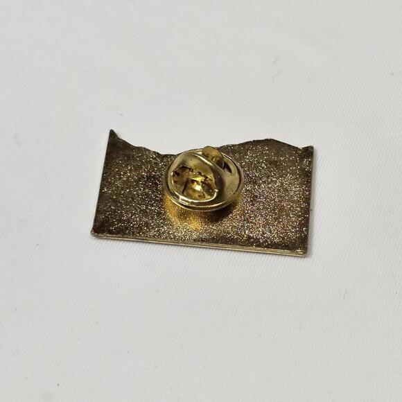 Vintage Resin Over Enamel Juneau Alaksa Ak Travel Pin Flowers Views - Picture 3 of 4